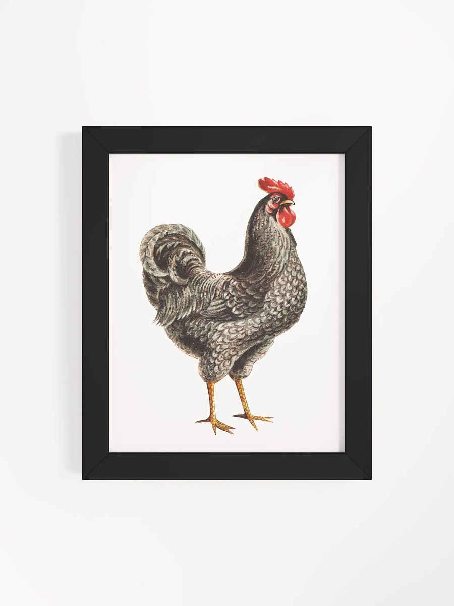 'Elegant Rooster' Framed Matte Poster product image (4)