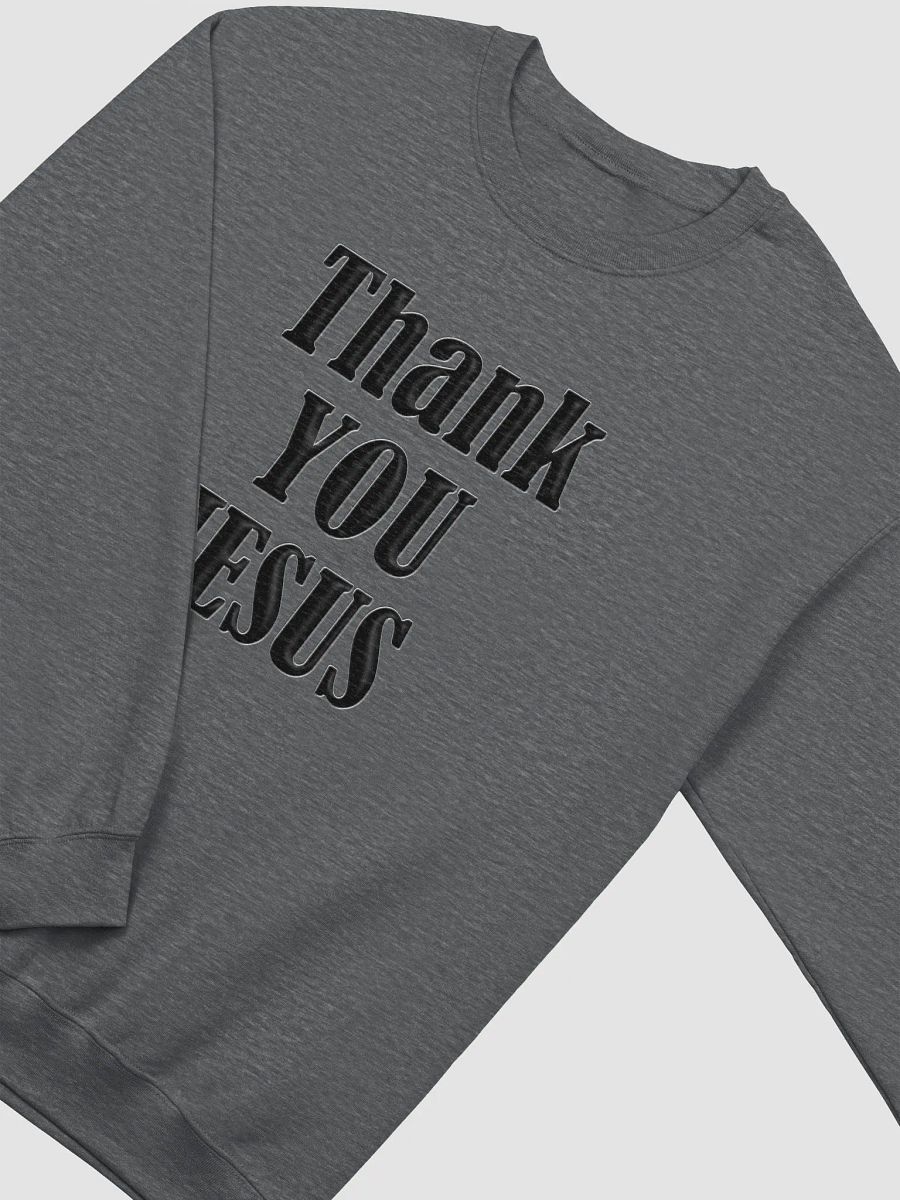 THANK YOU, JESUS, product image (25)