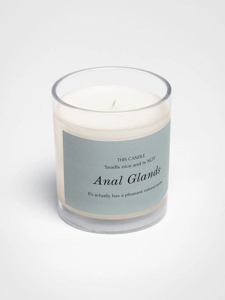 Veterinary humor candle "anal glands" product image (2)