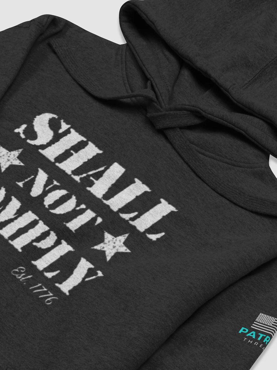 SHALL NOT COMPLY HOODIE product image (3)