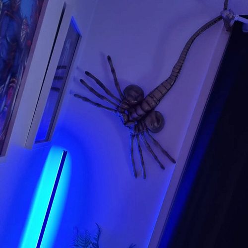 Might be a struggle to get in and record things now, with this ugly m'fer hanging on the wall...
Received this in the PO Box ...