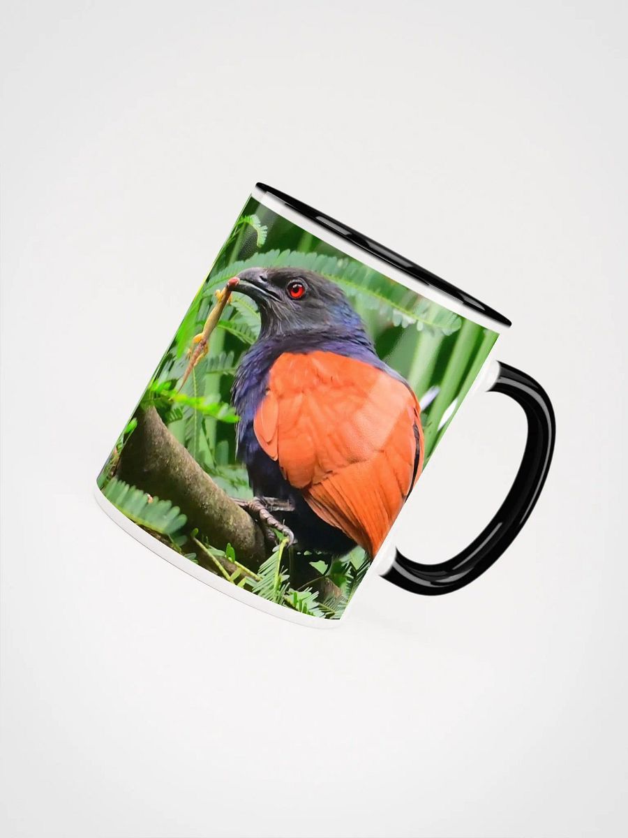 IUCAA Birds MUG product image (35)