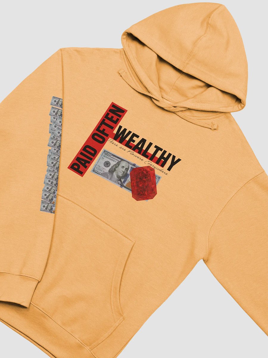 Red STAMPED Wealthy & Paid Often Hoodie product image (10)