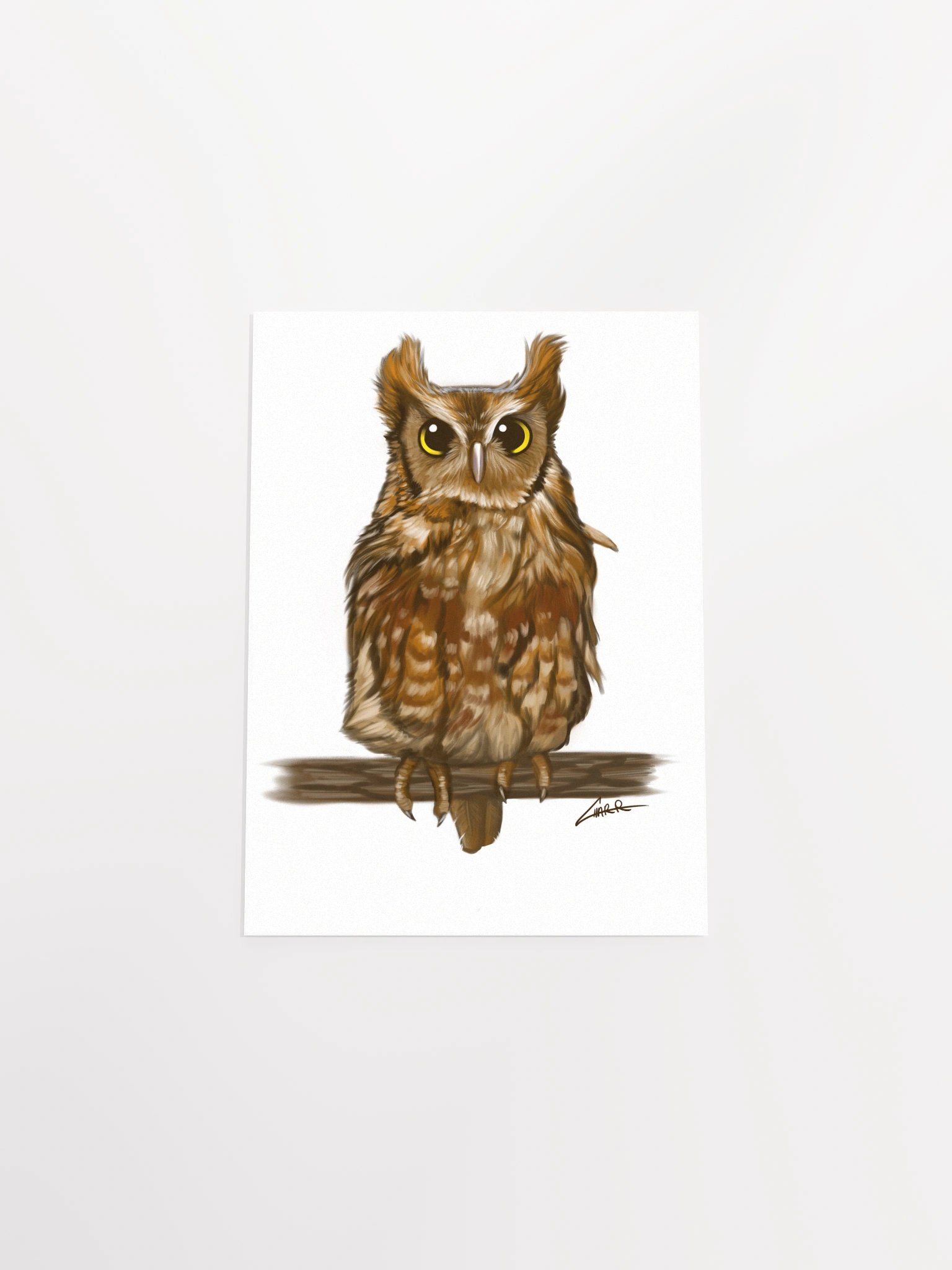 Birds: Screech Owl product image (4)