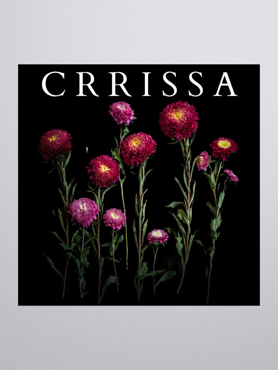 Crrissa - Sticker product image (1)