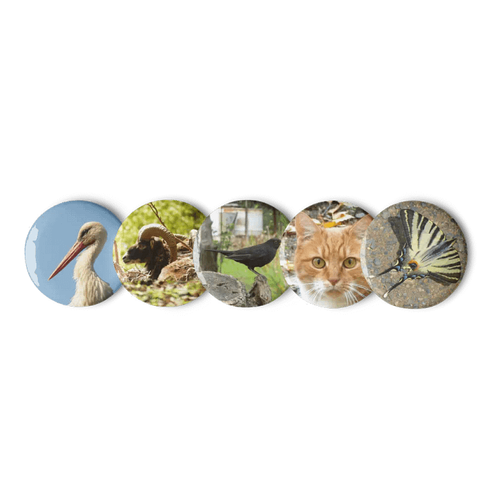 Set of Pin Buttons - Various Animals product image (1)