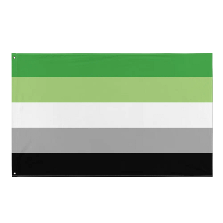 Aromantic Pride Flag product image (1)