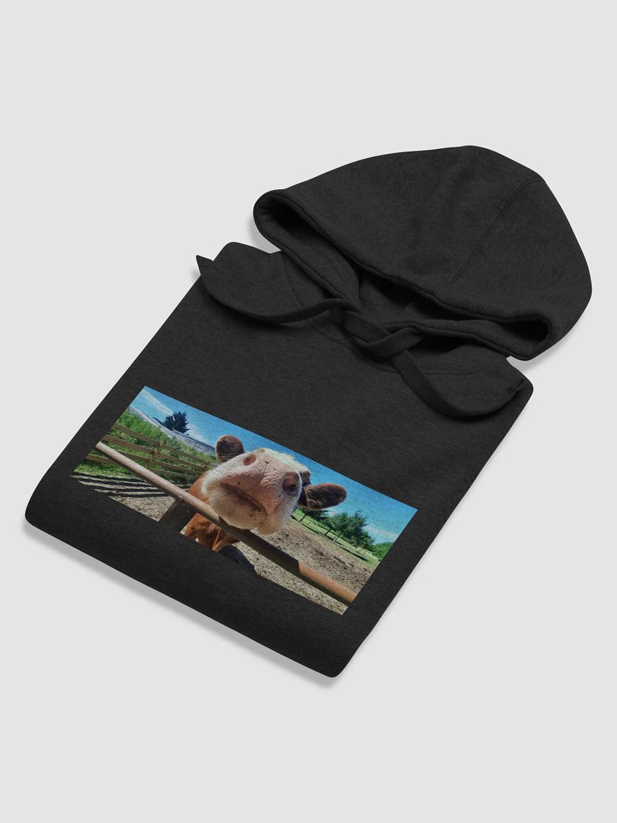 Cozy Cow Hoodie product image (62)