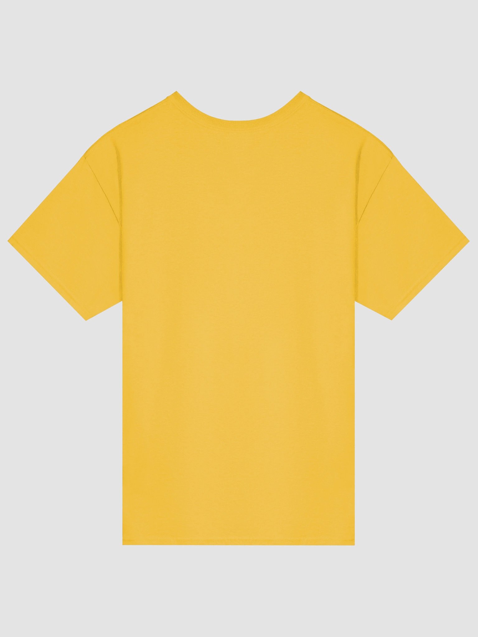 Vegetarian & Vegan Vibes T-Shirt product image (2)