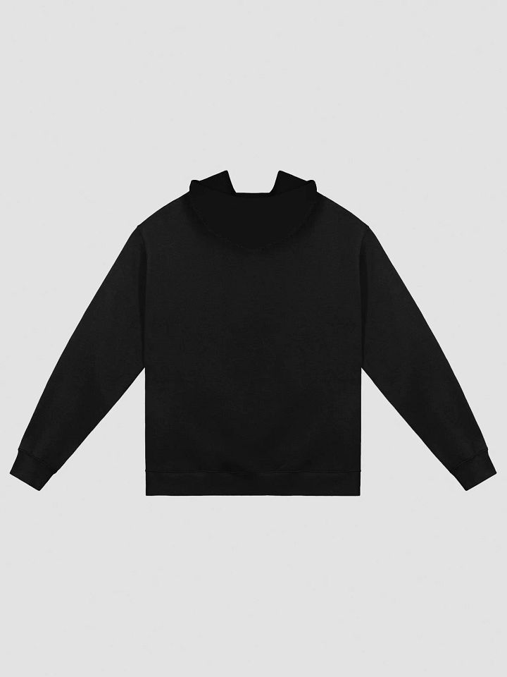 TGSR Premium Hoodie product image (4)