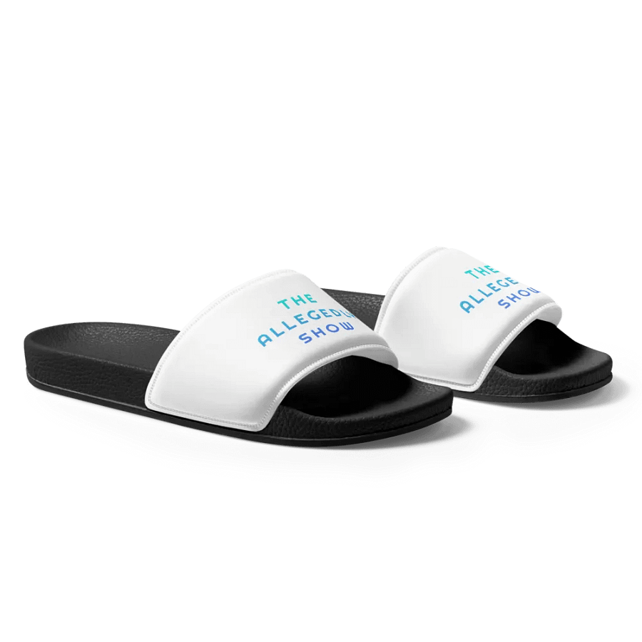 The Allegedly Show Slides product image (7)