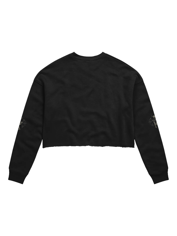 Team K V-3 Crop Sweatshirt product image (2)