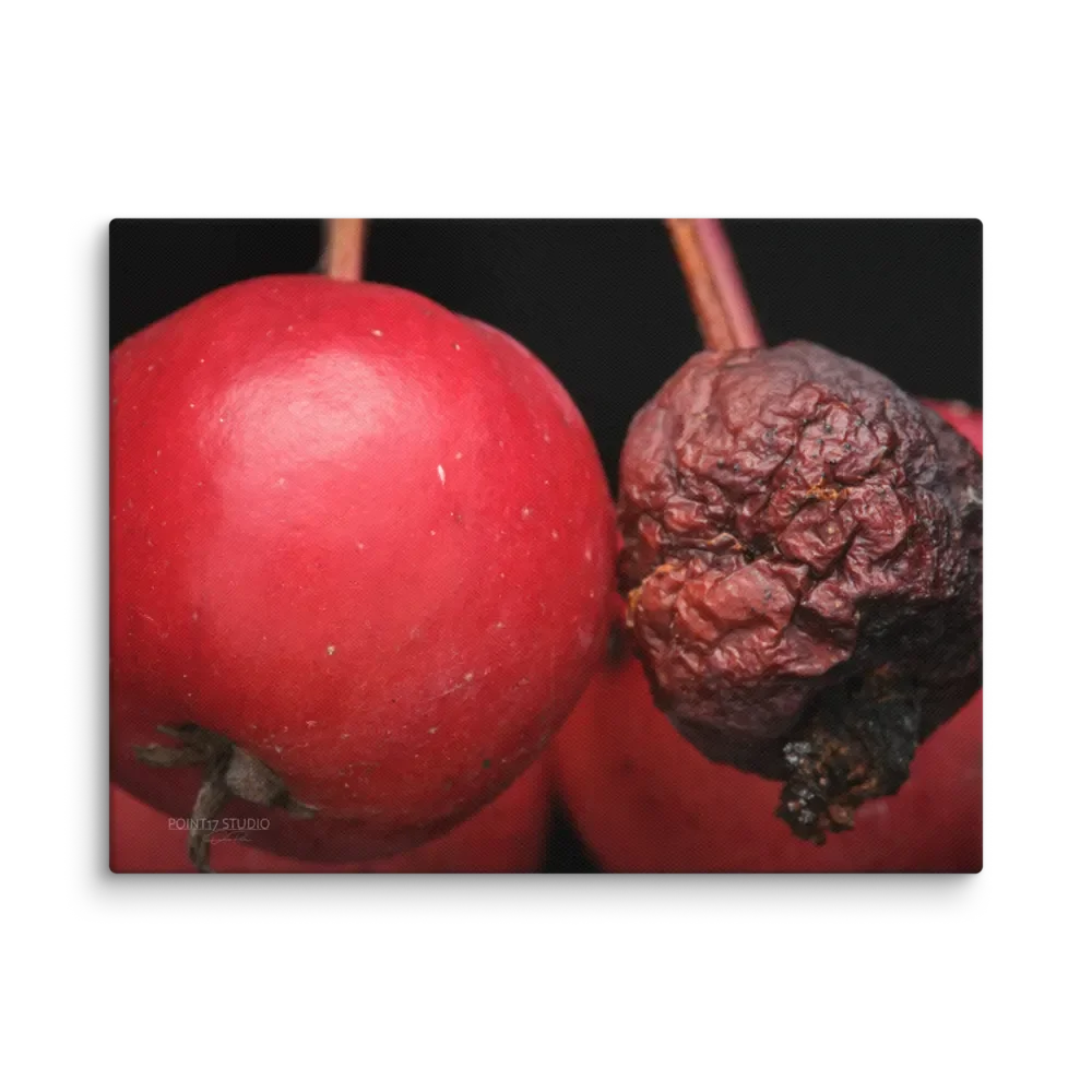 Yin And Yang Crabapples - Print On Canvas product image (1)