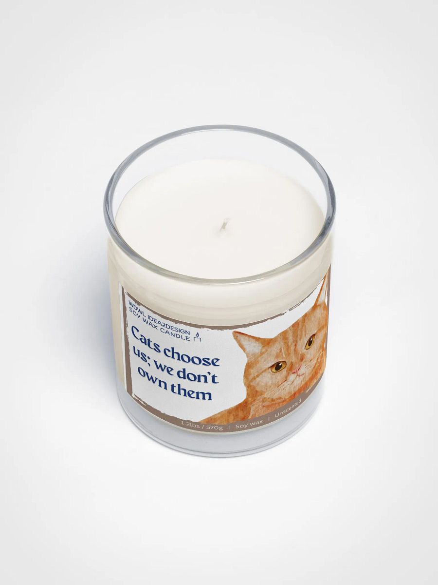 Ginger Cat Lover Best Gift, Large Capacity, Great Value & Eco-Friendly Candle – 1.2 lbs of Pure Serenity product image (3)