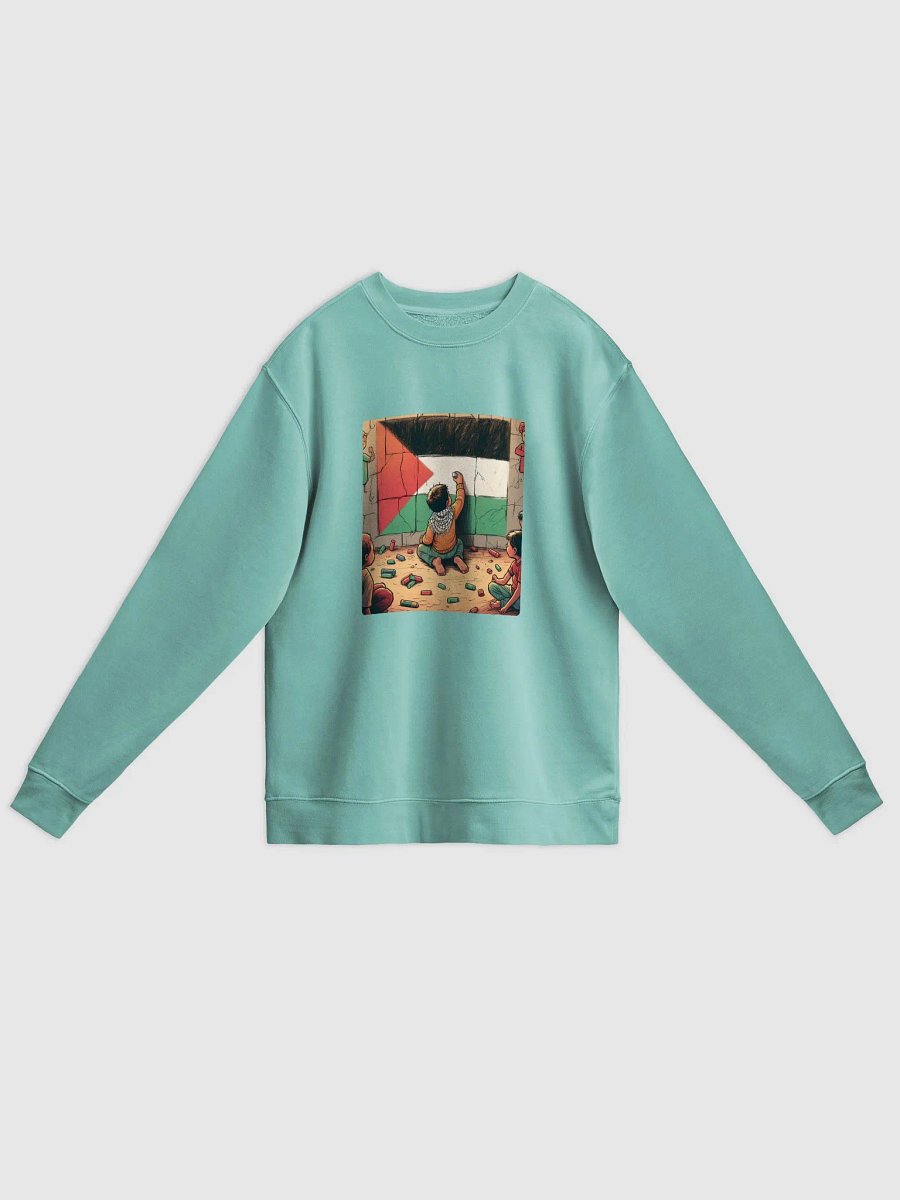 Vintage Pigment Dyed Crew Sweatshirt | free palestine product image (44)