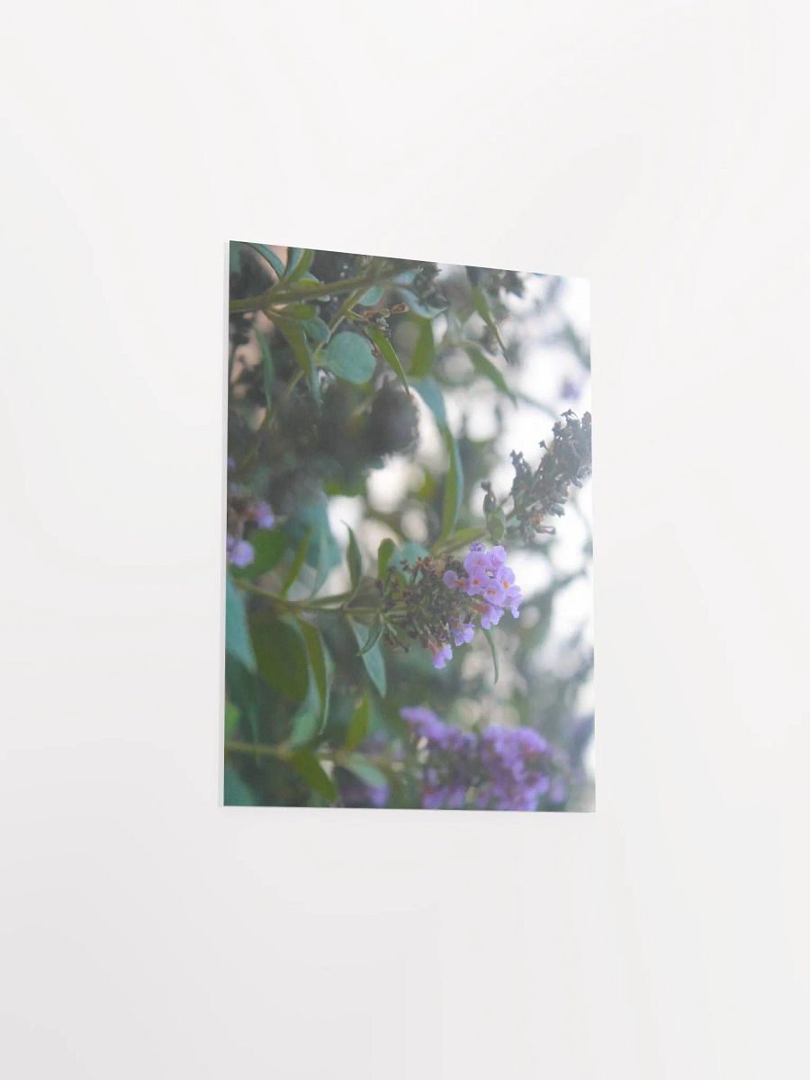 A Study in Flowers 5 product image (26)