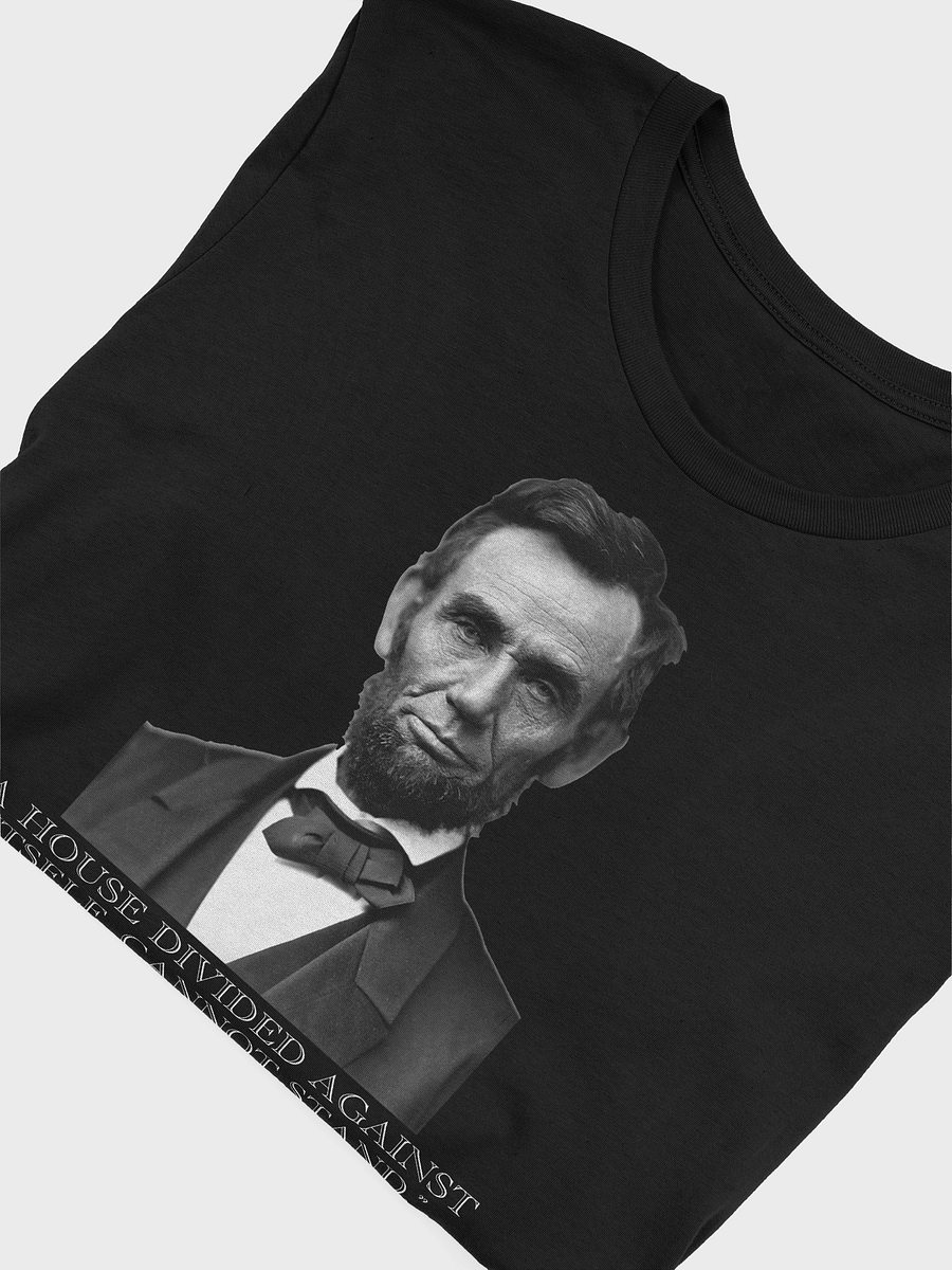 A House Divided T-Shirt product image (29)
