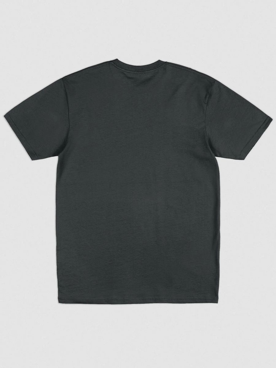 Bepis Embroidered Heavyweight Tee product image (2)