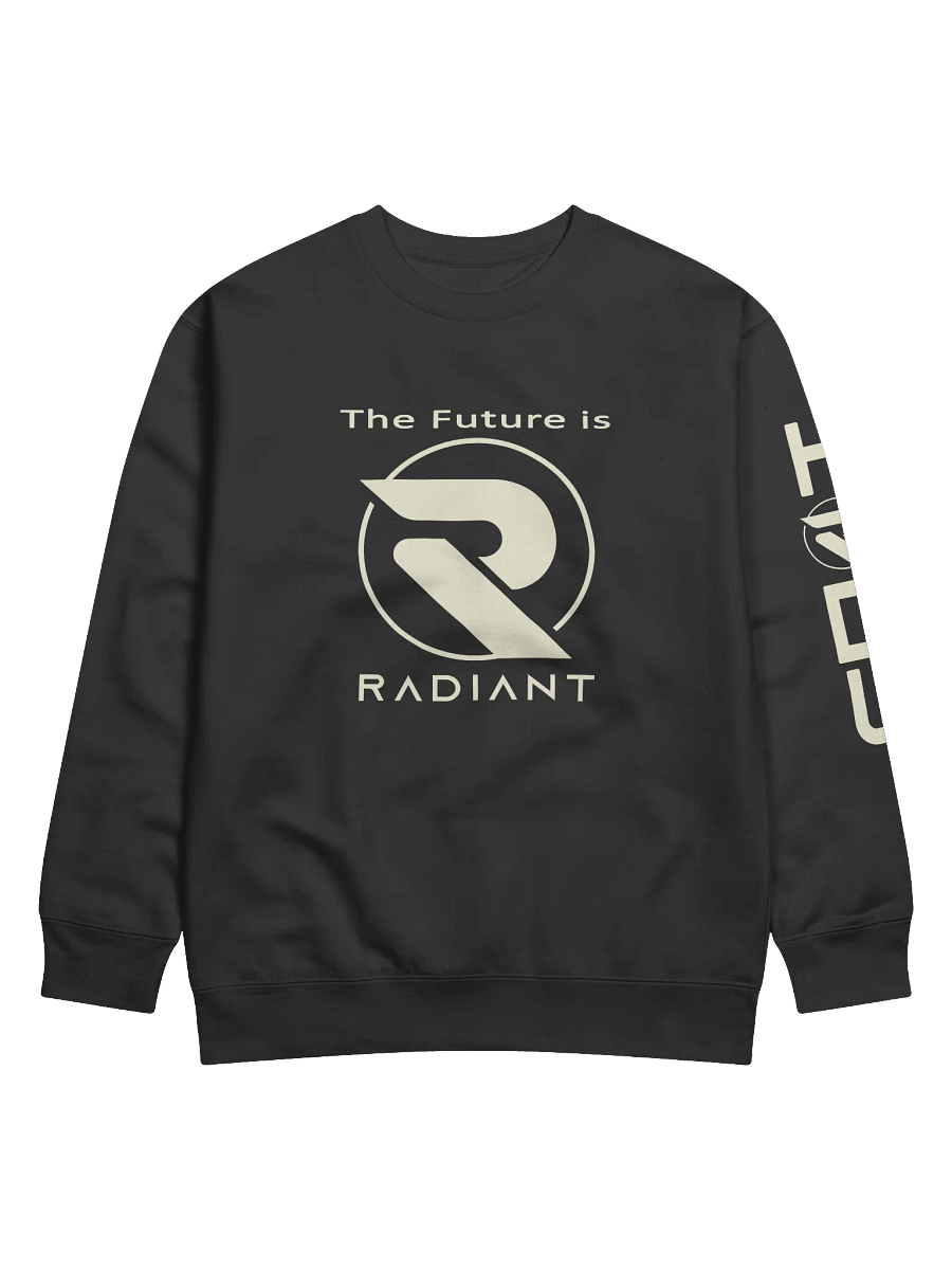 A Radiant HODL Sweater product image (1)