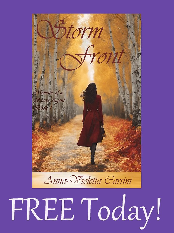 Storm Front EBOOK - FREE TODAY! product image (1)