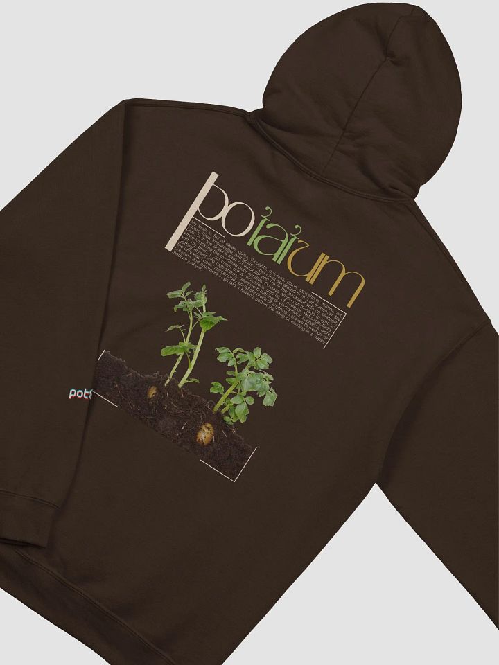 POTATUM SPROUT classic hoodie product image (7)