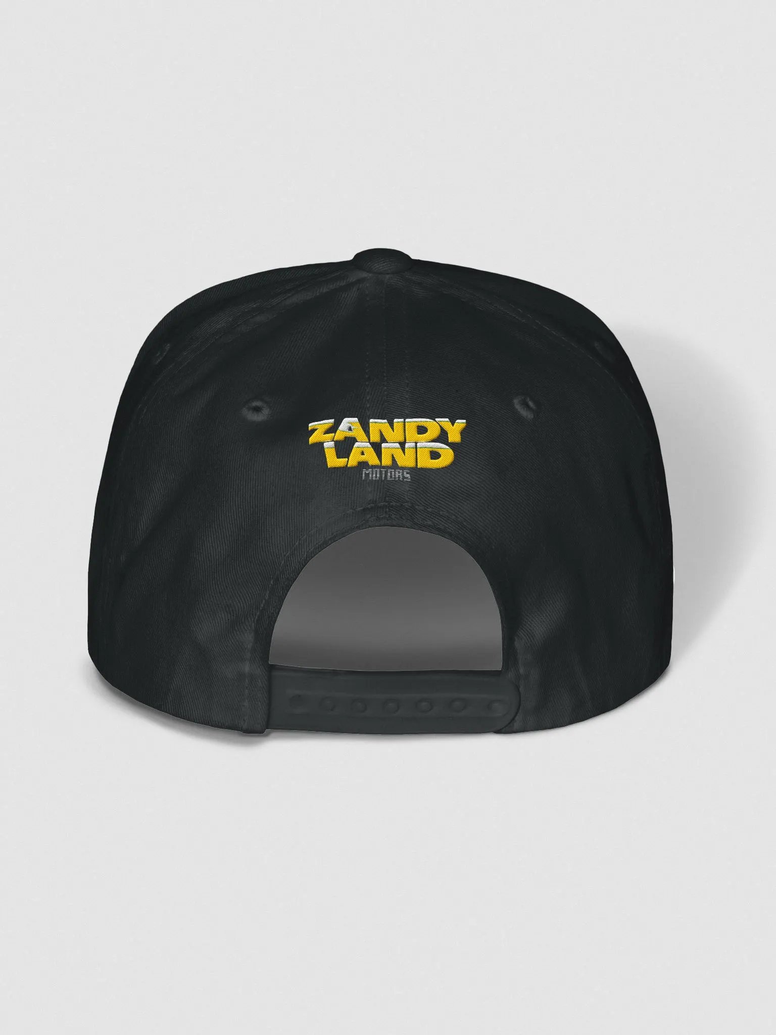 Zandyland Snapback product image (12)