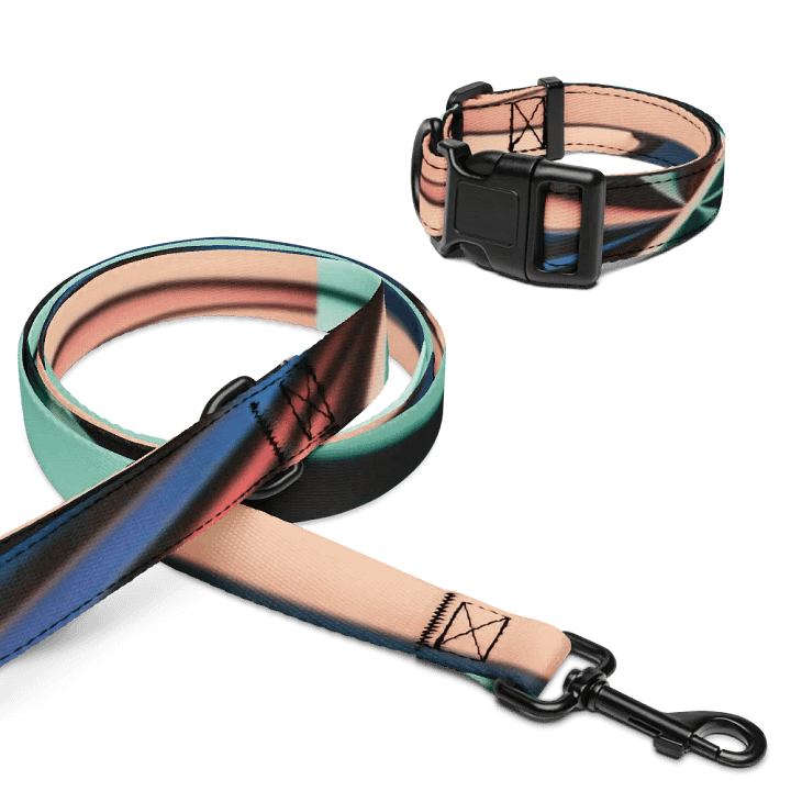 Harmonious Hues Pet Collar & Leash Set product image (1)
