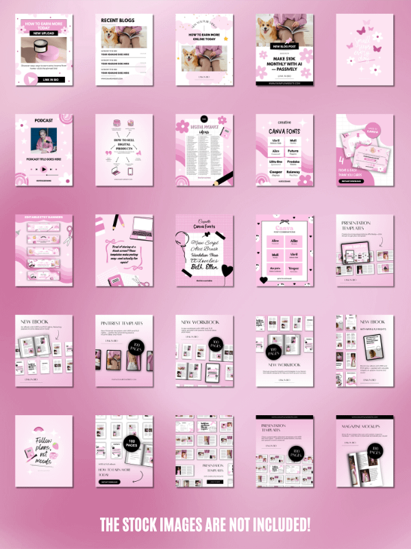 MRR/PLR Instagram Templates for Digitals product image (5)