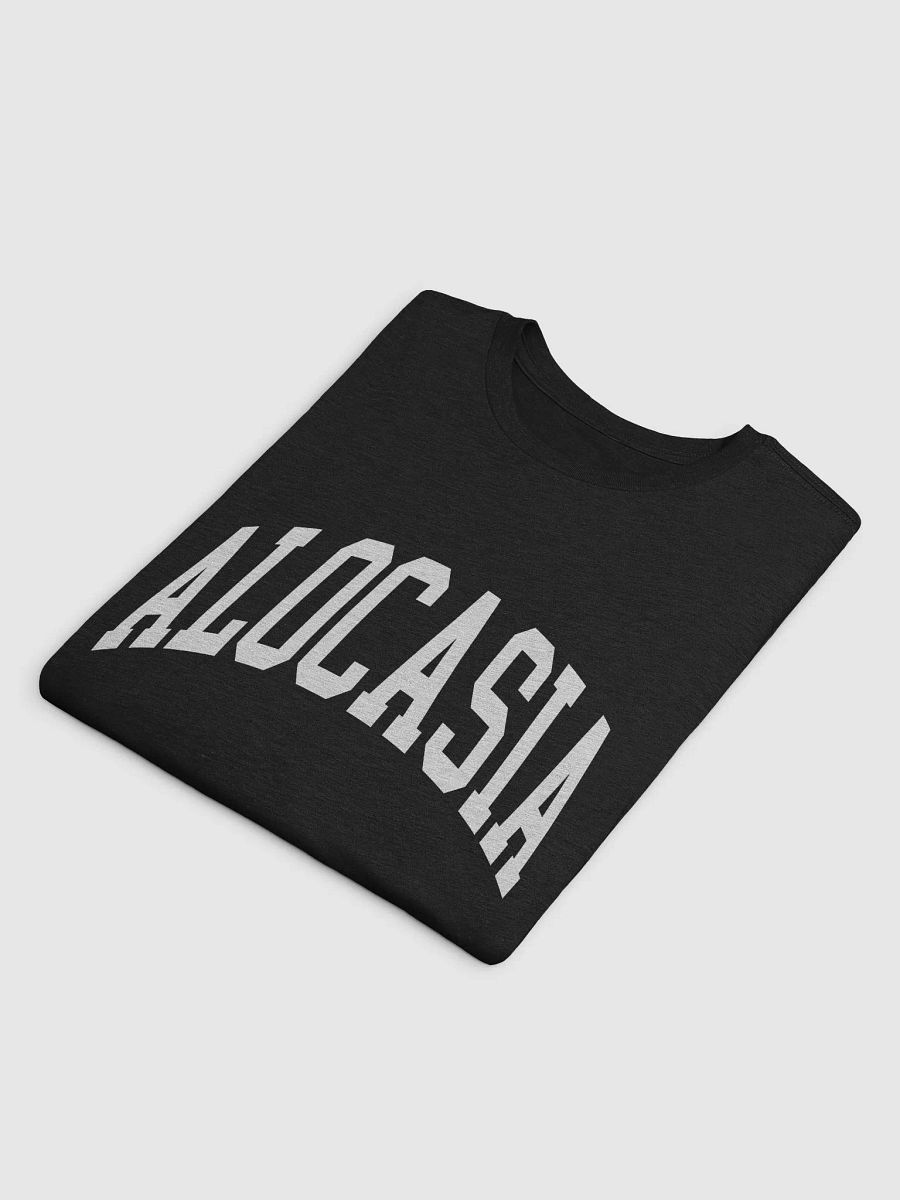 ALOCASIA varsity supersoft unisex tee product image (4)