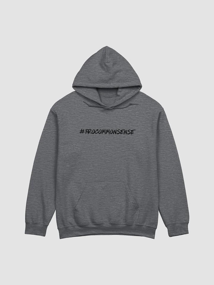 #ProCommonsense - Pullover Hoodie (TheeMlle Classics Merch) product image (1)