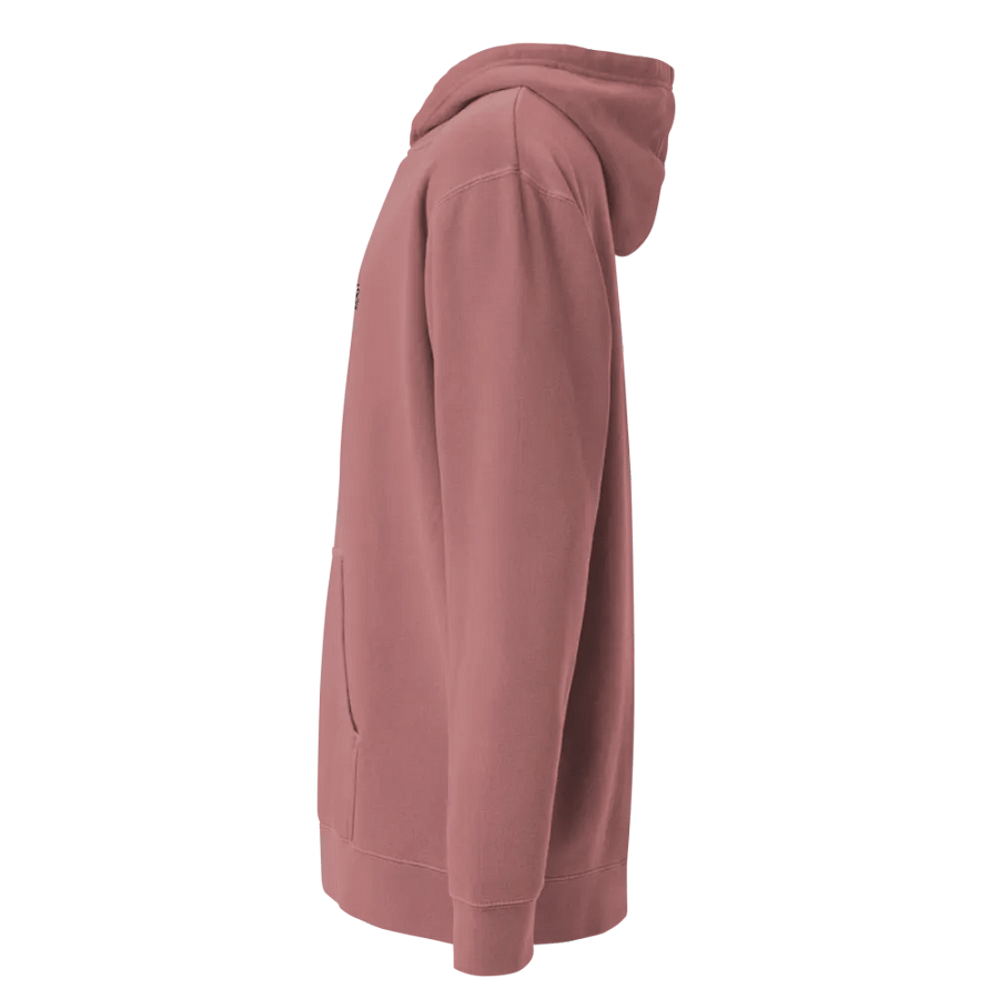 Certified Ethical Cyber-Ninjette Hoodie product image (20)