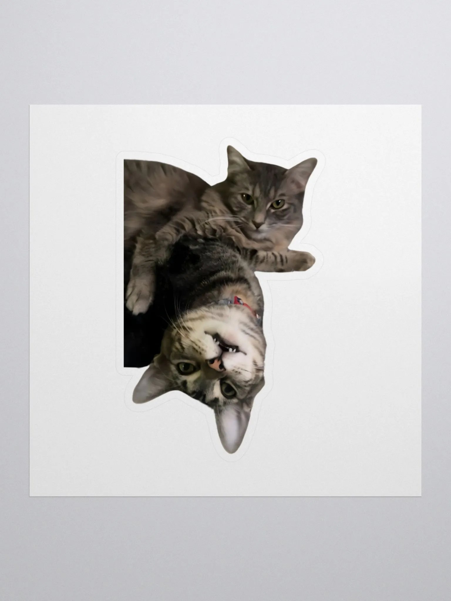 xDarknTwistyx Sticker ft. Meredith & Rocky product image (1)