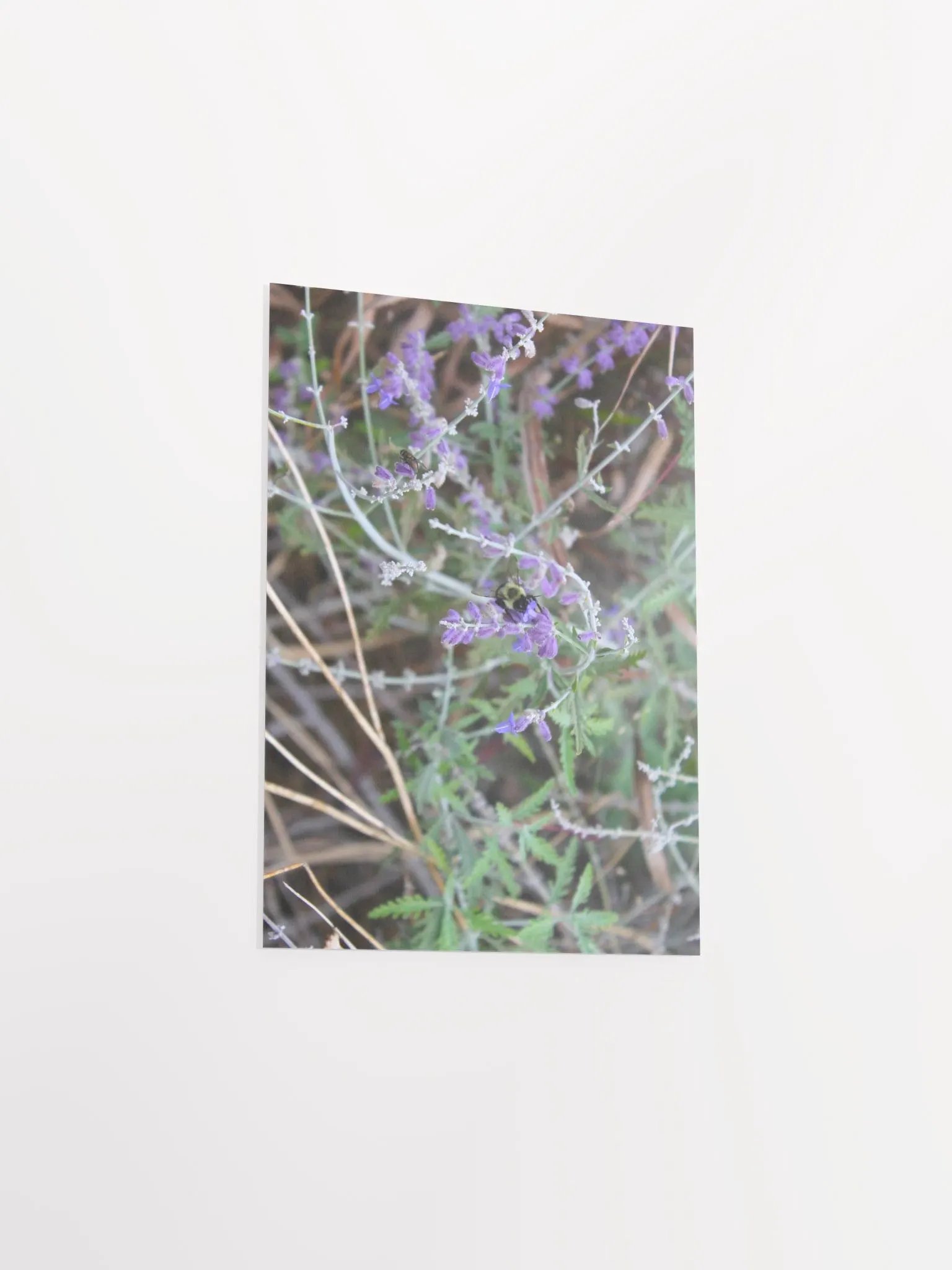 A Study in Flowers 4 product image (27)