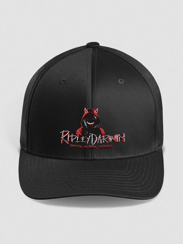 2025 Logo Fitted Hat product image (8)
