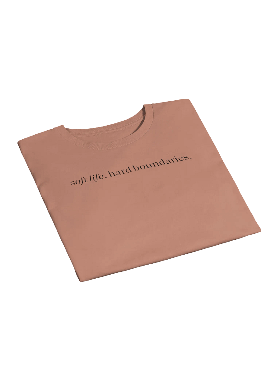 soft life. hard boundaries. screen print crop. product image (4)