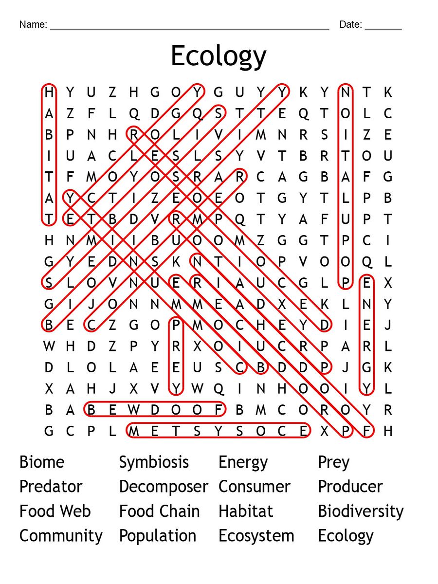 Printable Ecology Word Search – 16 Key Terms! product image (2)