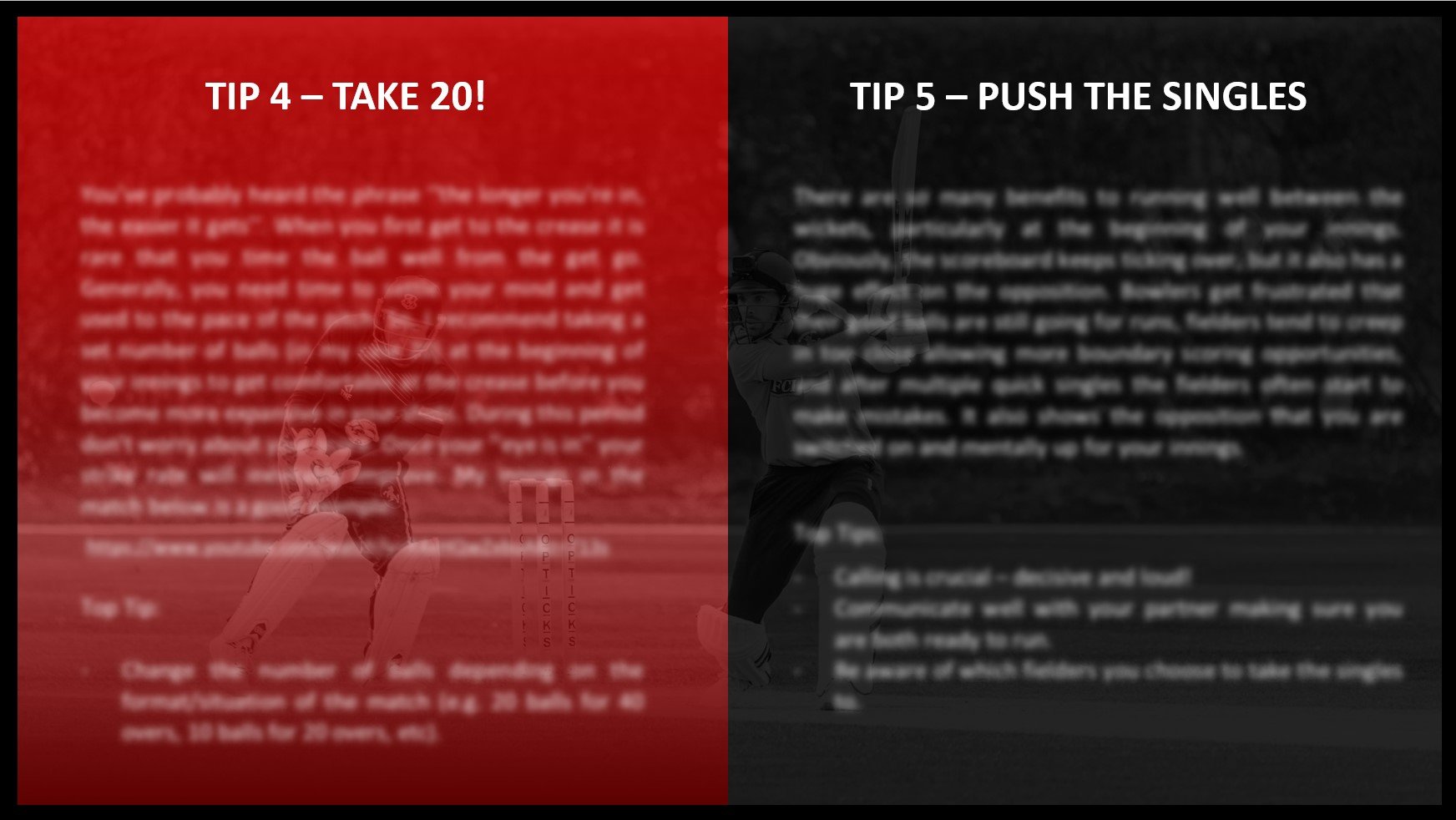 CAN YOU CRICKET TOP TIPS product image (4)