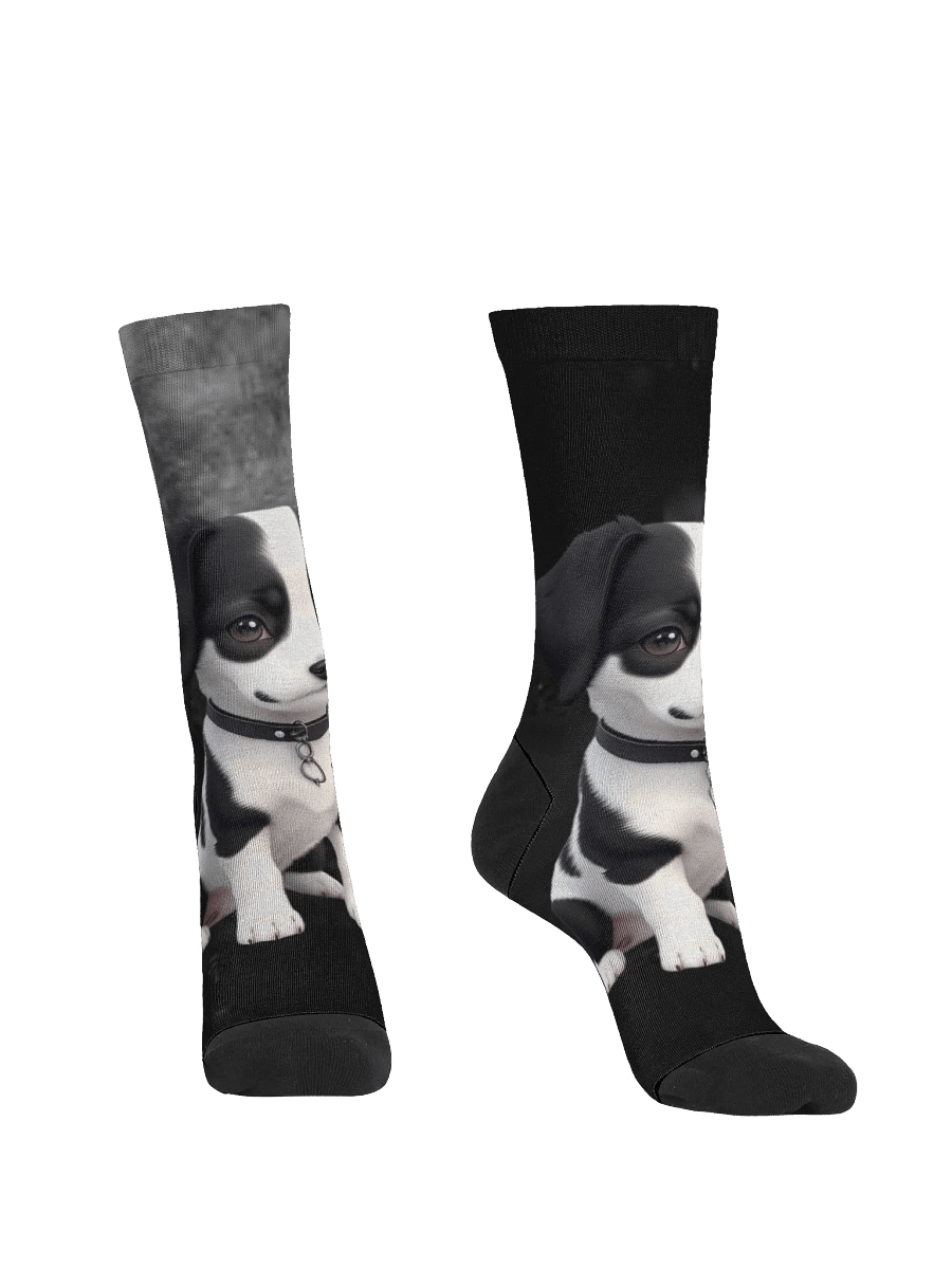 WallE Socks product image (2)