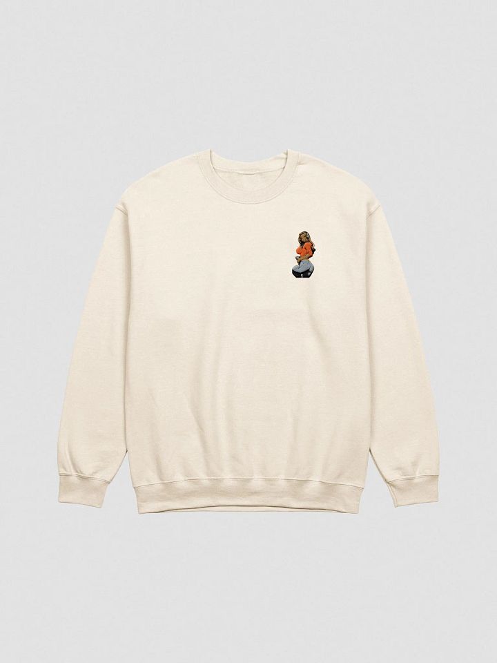 Gamer Spicy EMBROIDERED Sweatshirt product image (32)