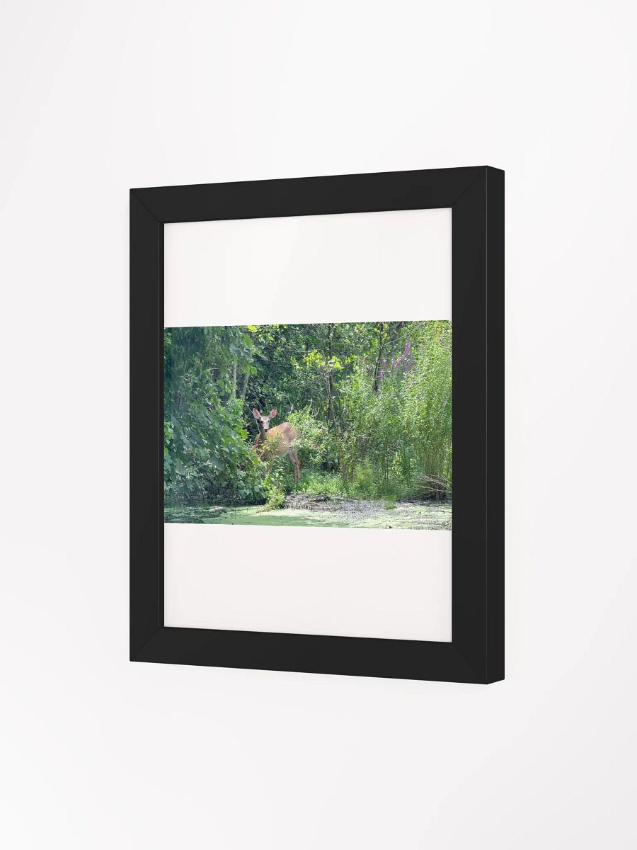 Deer In The Wild print product image (21)