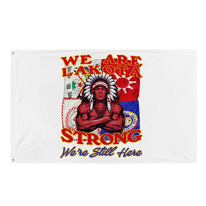 Lakota Pride Flag product image (1)