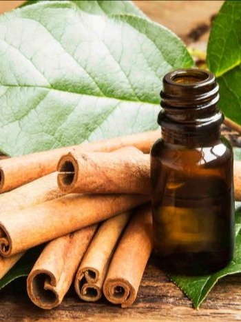Sri Lankan Cinnamon Oil – Pure Ceylon Essential Oil product image (2)