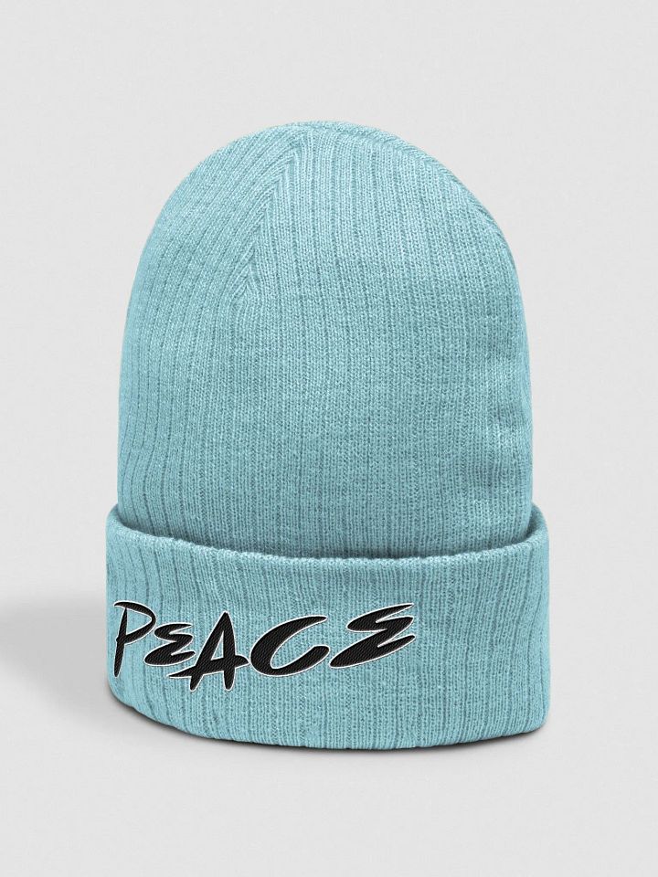 Peace - Keep It Simple - Atlantis Ribbed Knit Beanie product image (2)