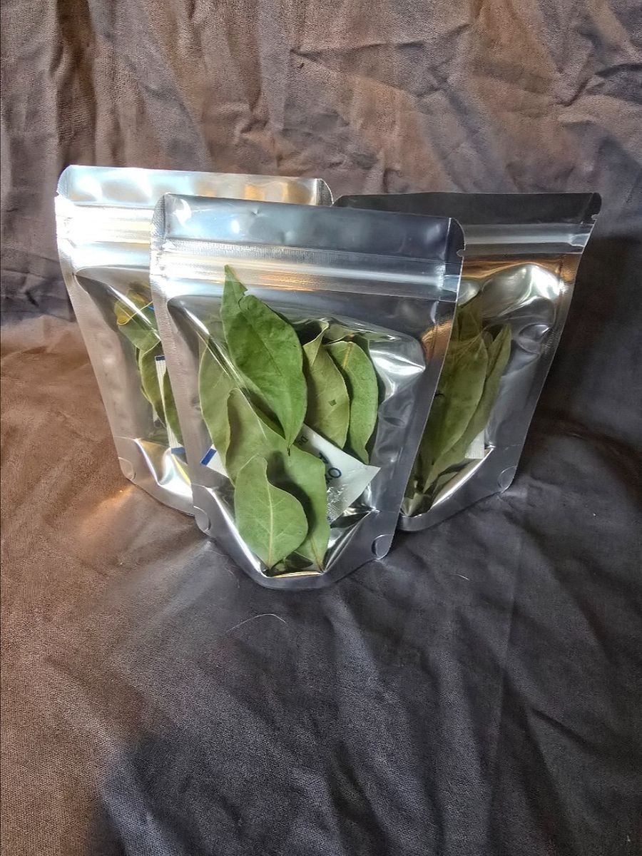 Bay Leafs product image (1)