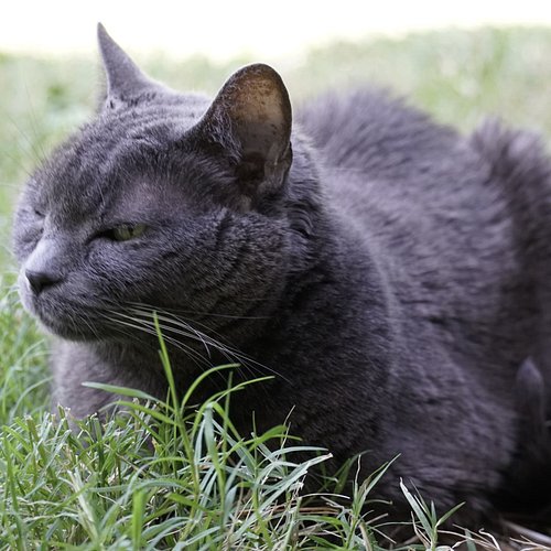 Boo's looking fabulous 😎