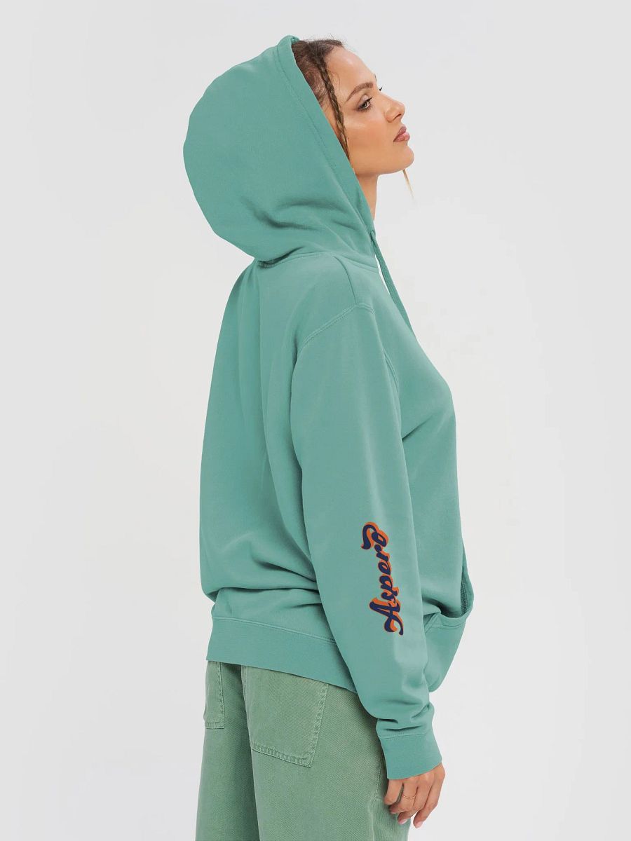 Aspero Signature Vintage Hoodie product image (45)
