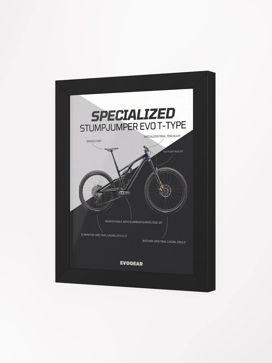 Specialized Stumpjumper EVO Expert T-Type Frame product image (13)
