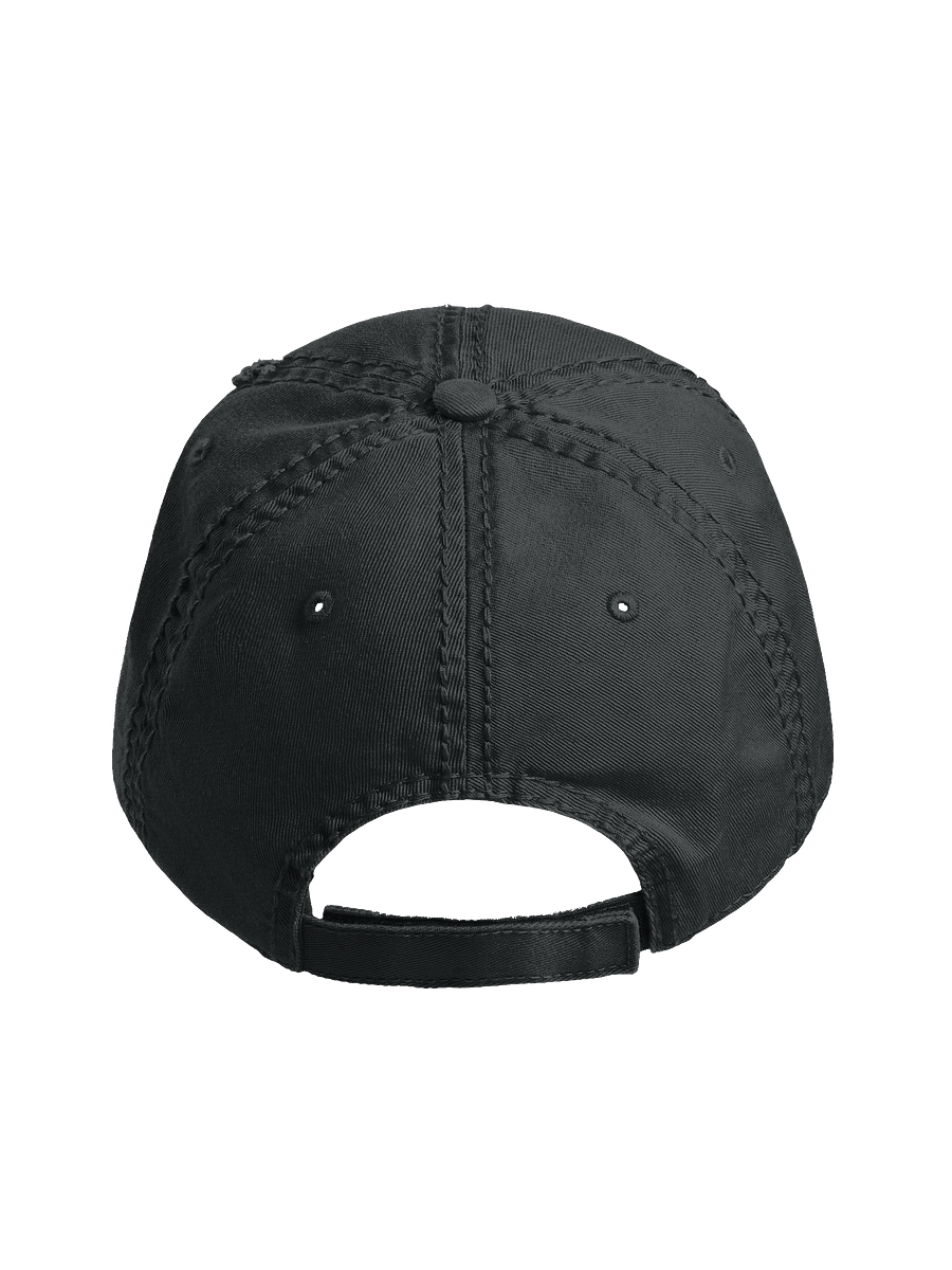 Bad Dog Nation - Embroidered Distressed Dad Hat product image (4)