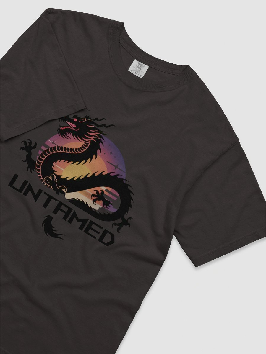 Dragon Sunset Silhouette T-Shirt product image (12)
