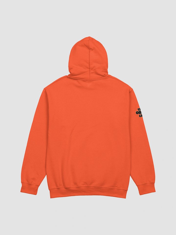 Pawsitivity Hoodie product image (18)